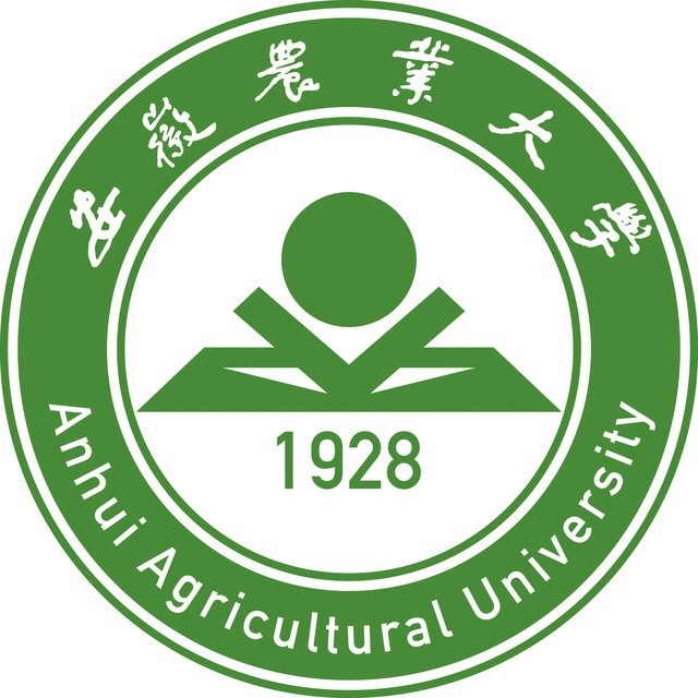 凯发娱乐体育登录