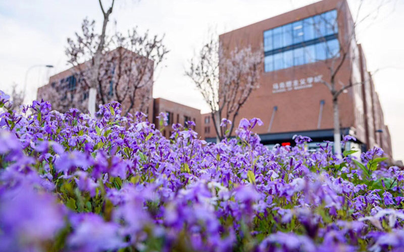南开大学校园风景